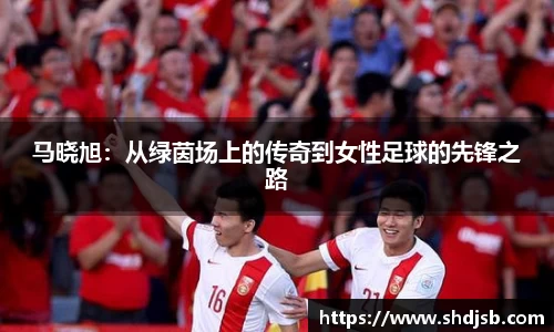 三亿体育手机网页版登录
