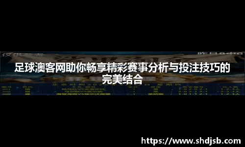 三亿体育官网入口