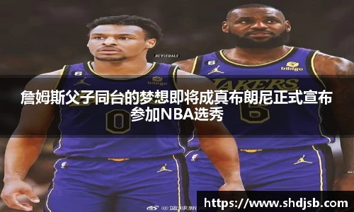 三亿体育官网入口