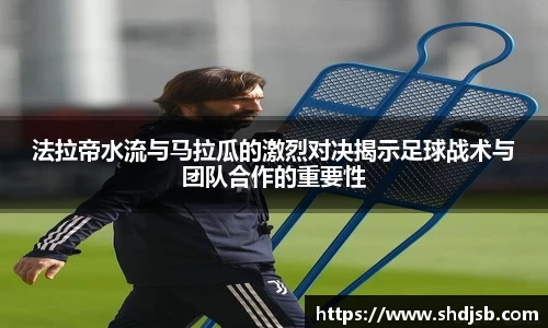 三亿体育官网入口