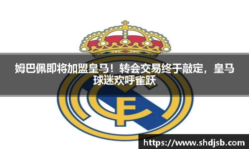 三亿体育官网入口